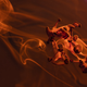 Illustration for article titled There's Some Complex Physics In These Photos of Ink Falling Through Water